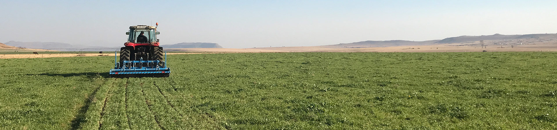 Grassland Subsoiler 1